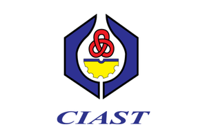 Clast